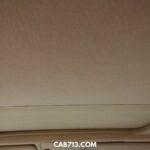 How To Get Rid of Water Stains Out Of Car Headliner