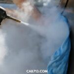 why choose car steam cleaning