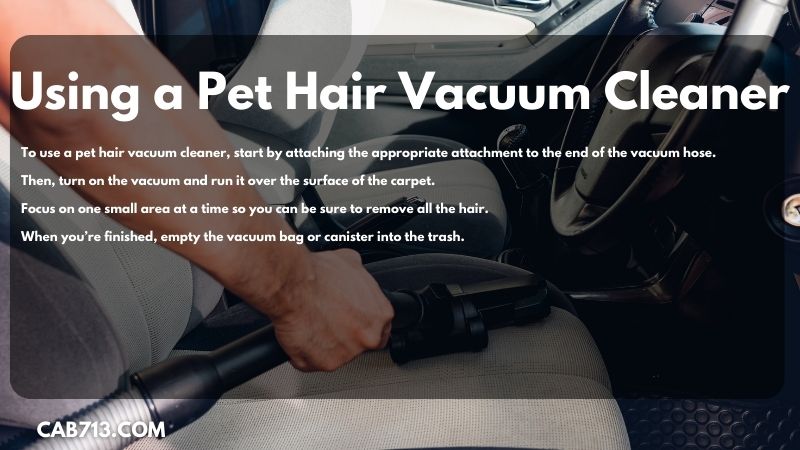 using a pet hair vacuum cleaner on how to remove dog hair from a car